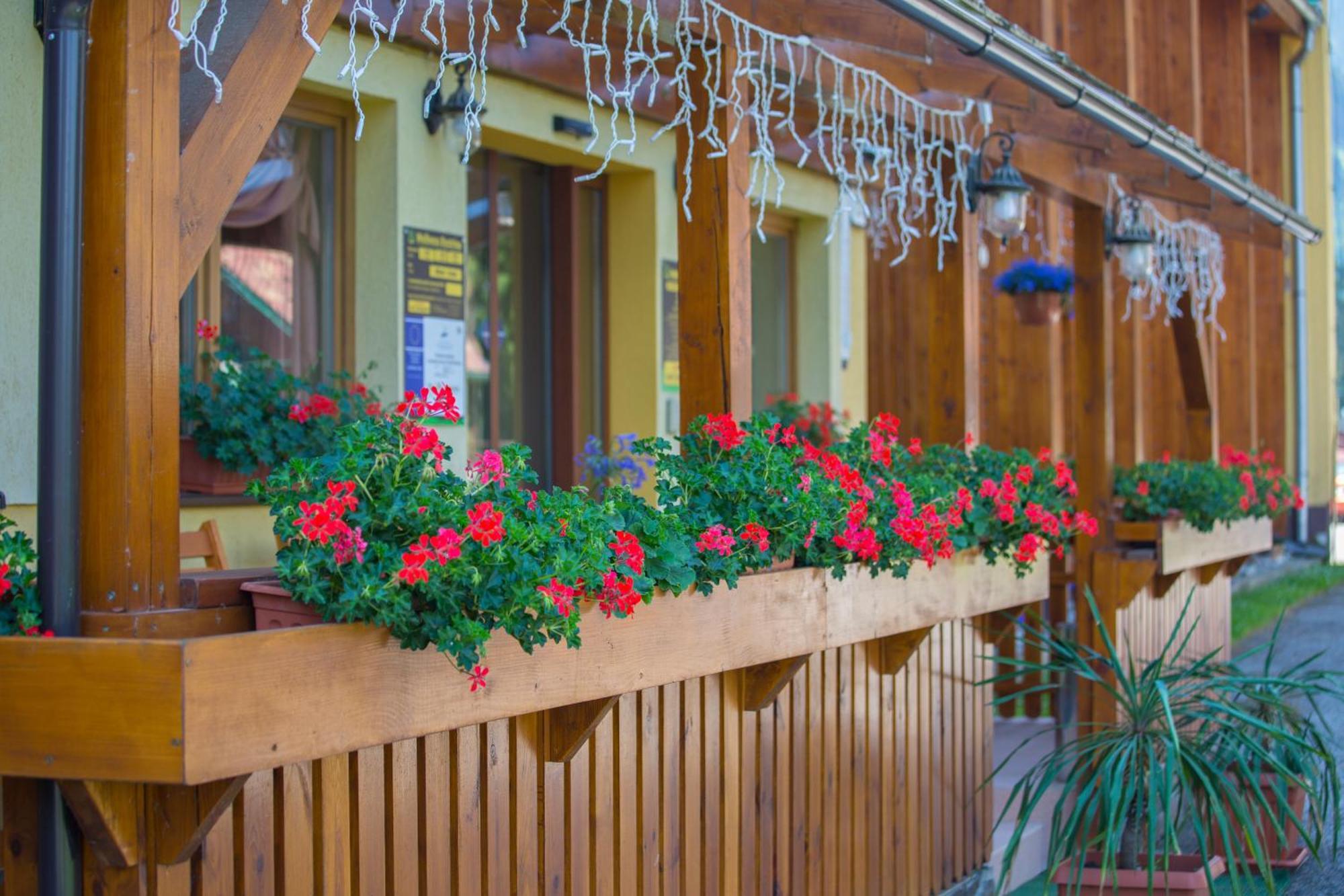 Bystrina
